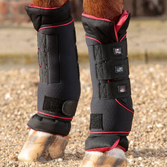 Infrared Therapy | Premier Equine Int. Ltd.