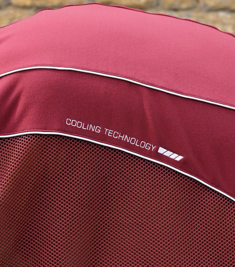 Airtech mesh horse cooler rug