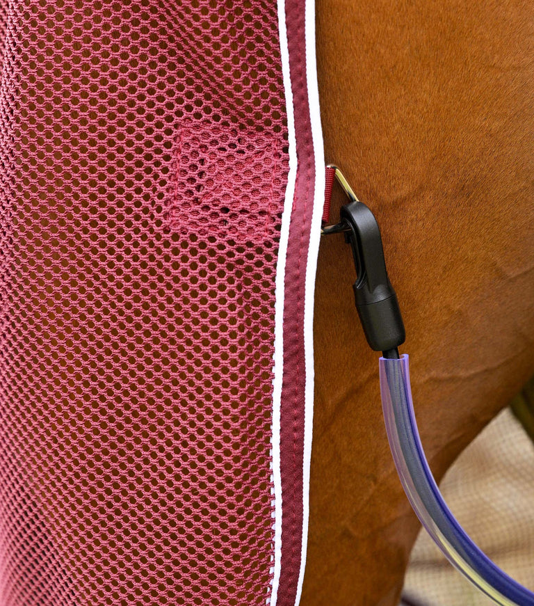 Airtech mesh horse cooler rug