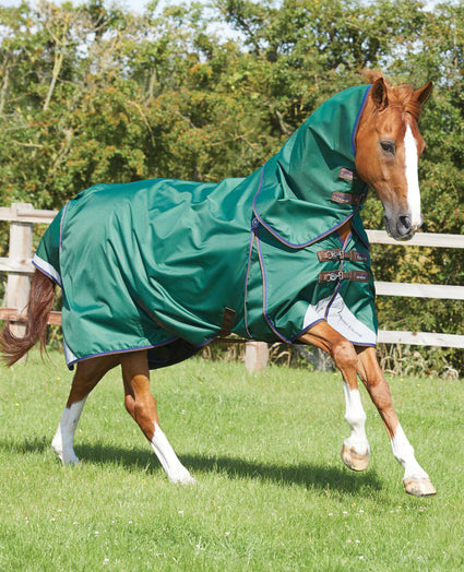 LIGHTWEIGHT GREEN RUG