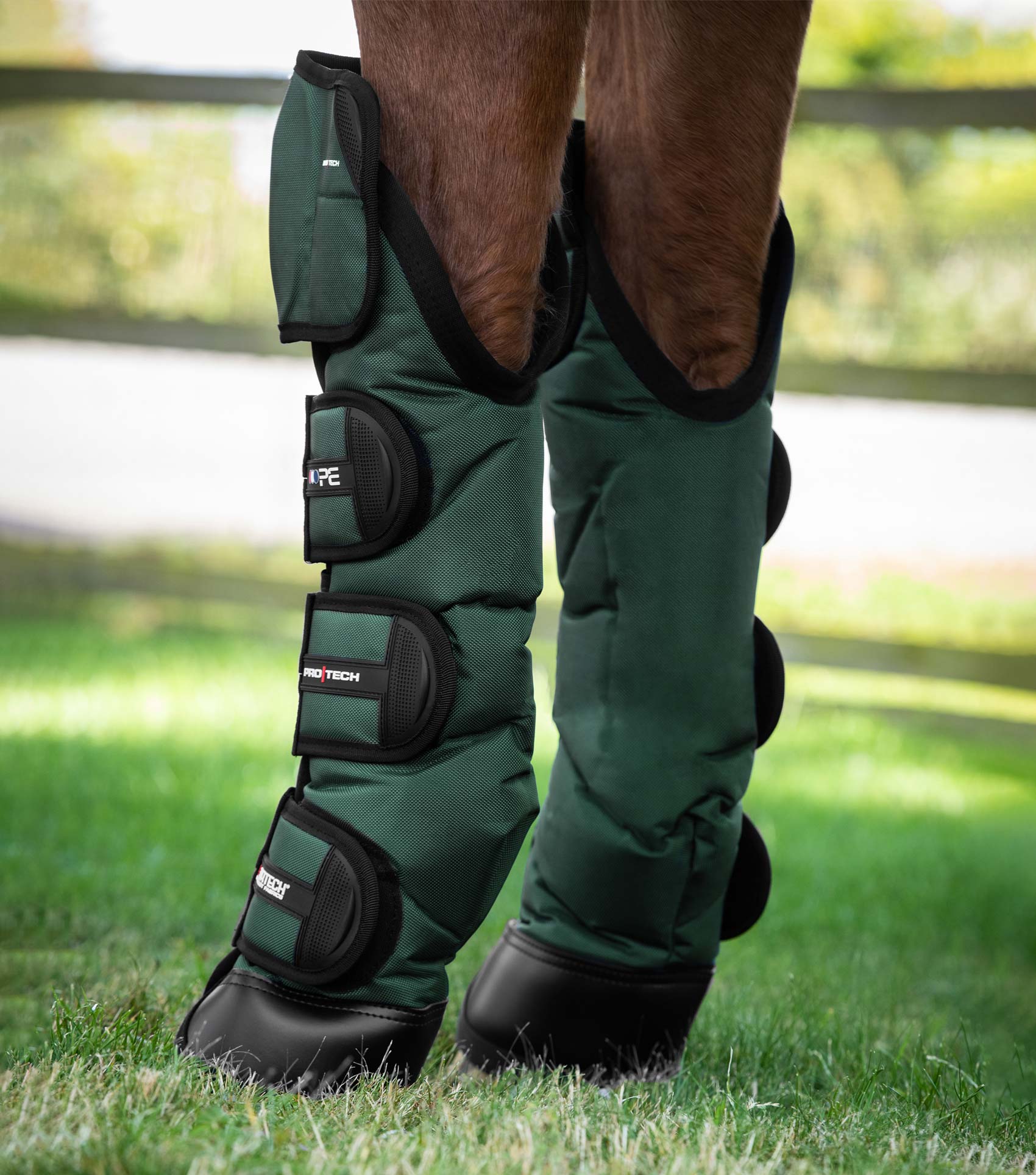 Ballistic Knee Pro Tech Horse Travel Boots Green Premier Equine Int. Ltd