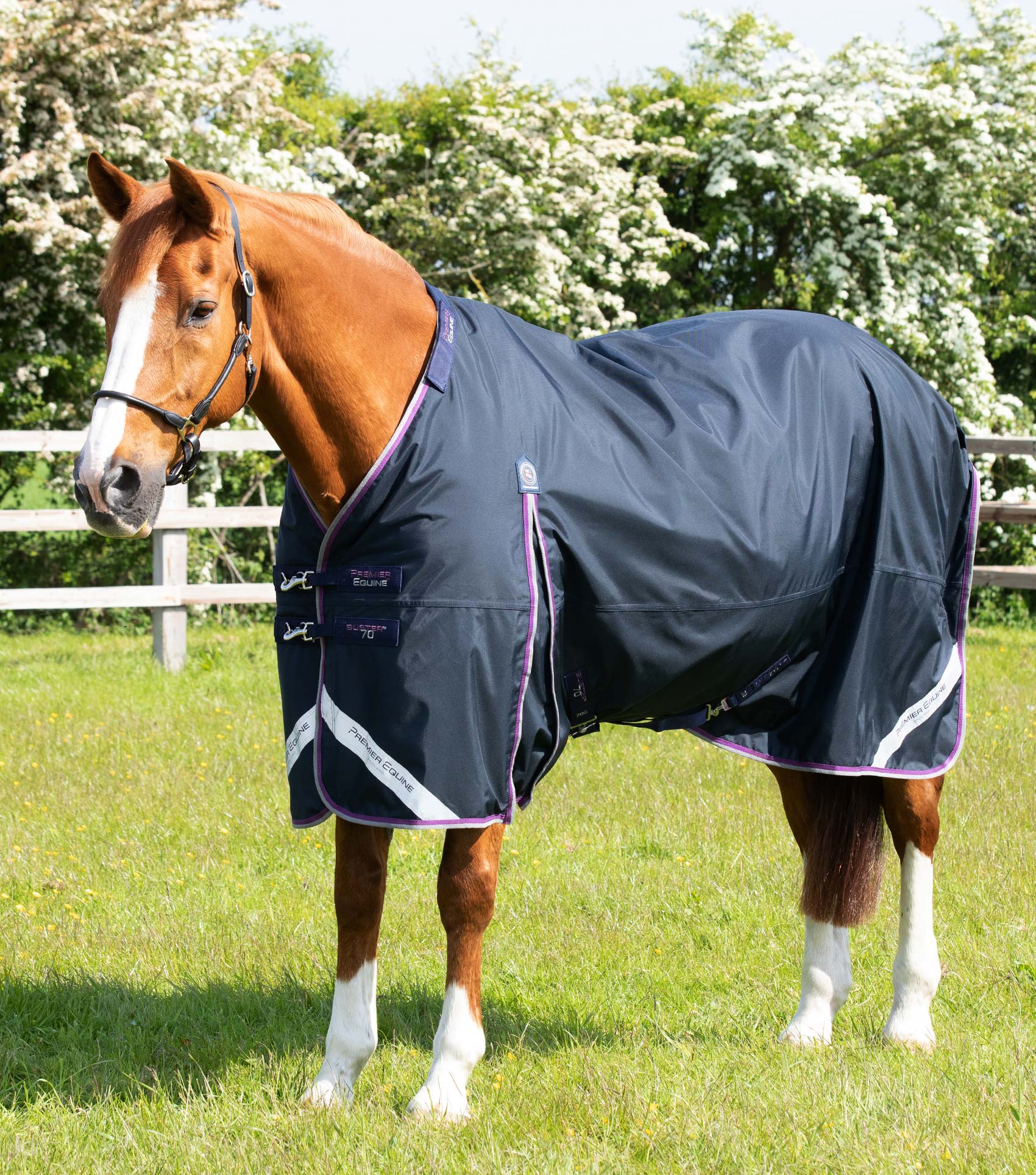 Premier Equine Buster Tappeto Di Affluenza 150g Con Classico Coperchio Collo
