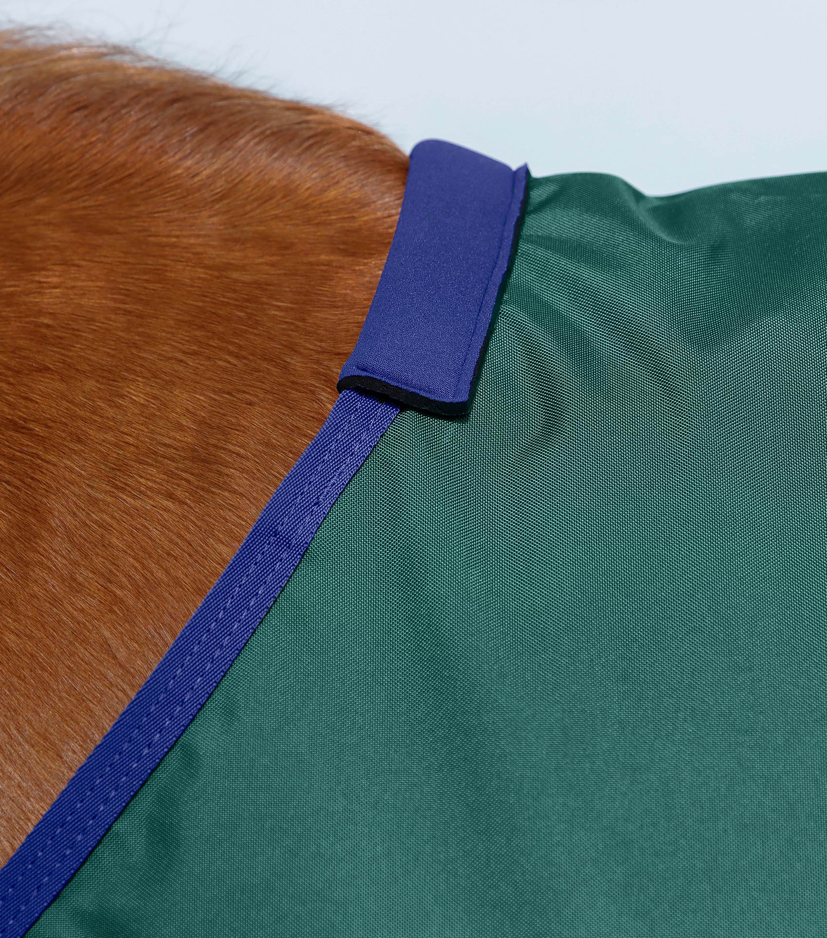 Buster Zero Original Turnout Rug Green Premier Equine Int. Ltd.