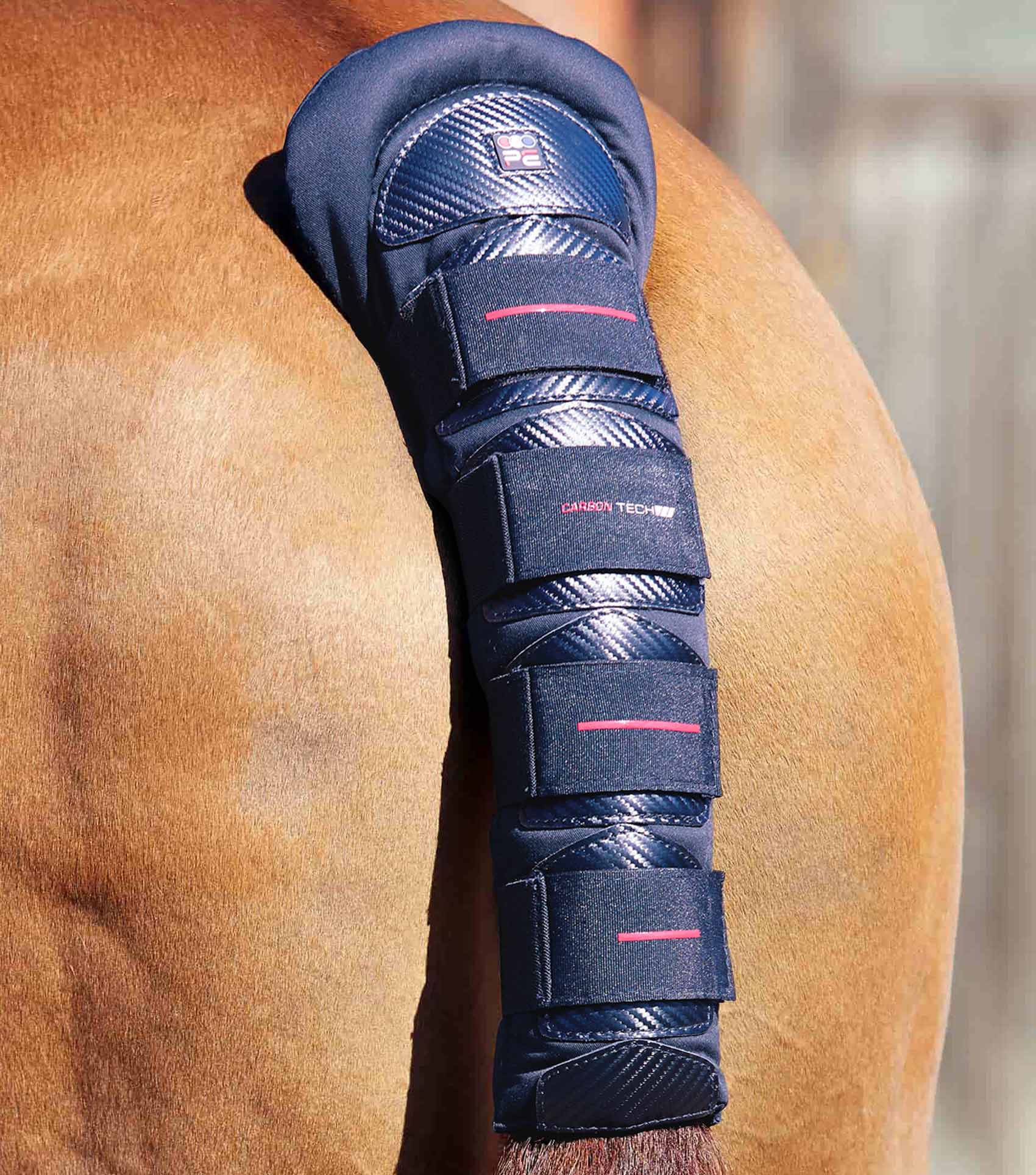 Premiere Equine - Non-slip and reinforced tail guard | Bucéphale Saddlery – Sellerie Bucéphale