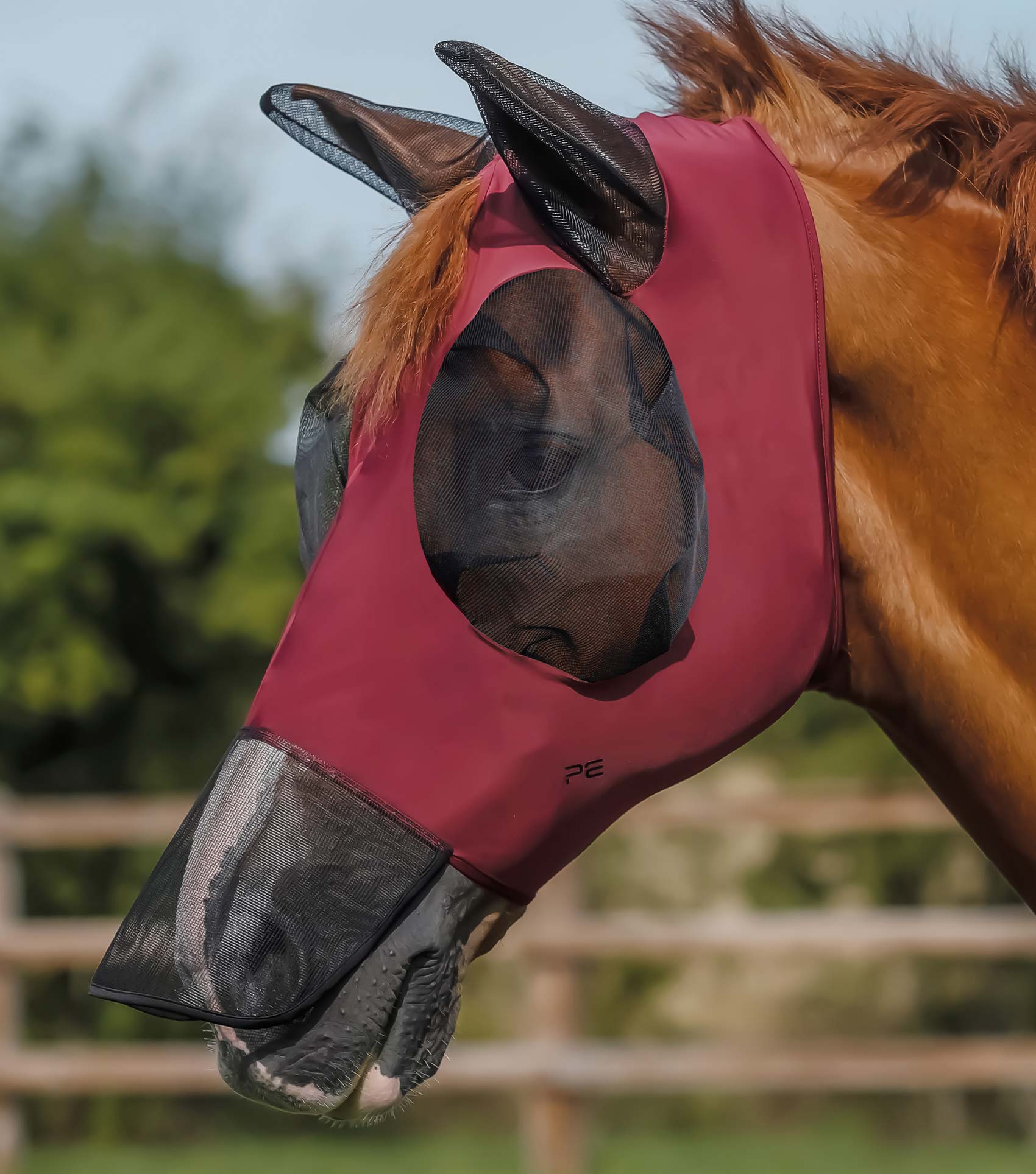 Premier Equine - Maschera antimosche Comfort Tech Xtra Lycra Fly Mask, taglia S, colore: Verde Premier Equine - Maschera antimosche Comfort Tech Xtra Lycra Fly Mask, taglia S, colore: Verde