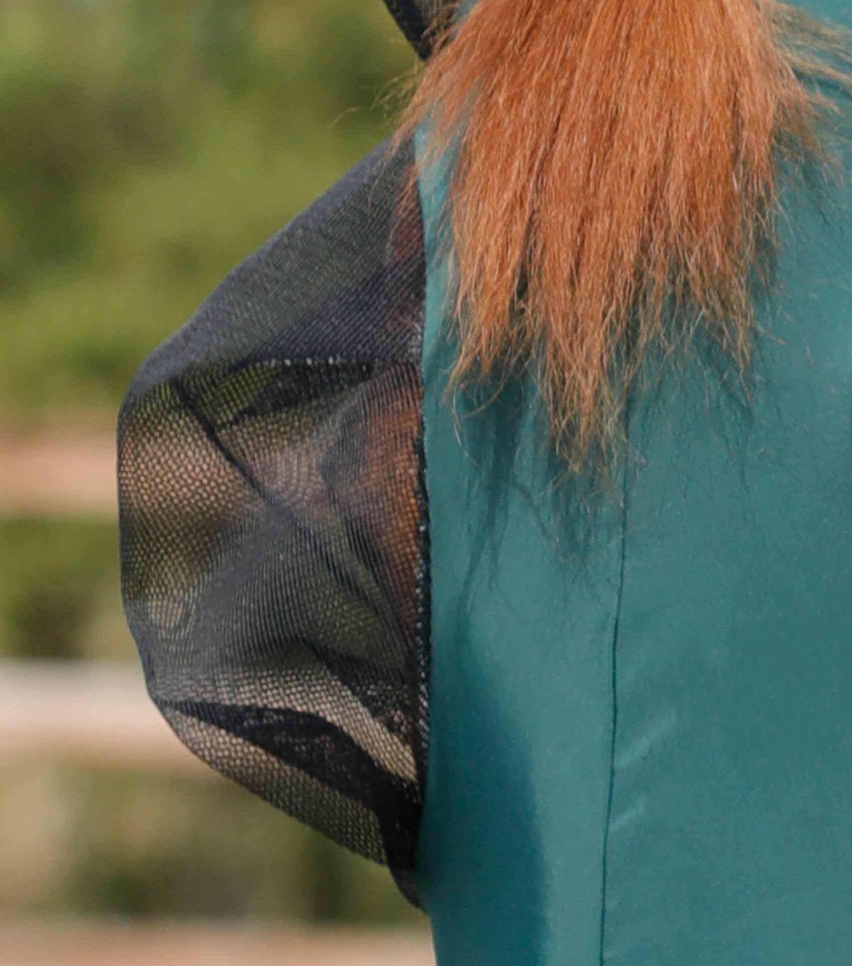 ECP Equine Cofort Products áscara de osca de caballo con orejas y ECP Equine Cofort Products áscara de osca de caballo con orejas y