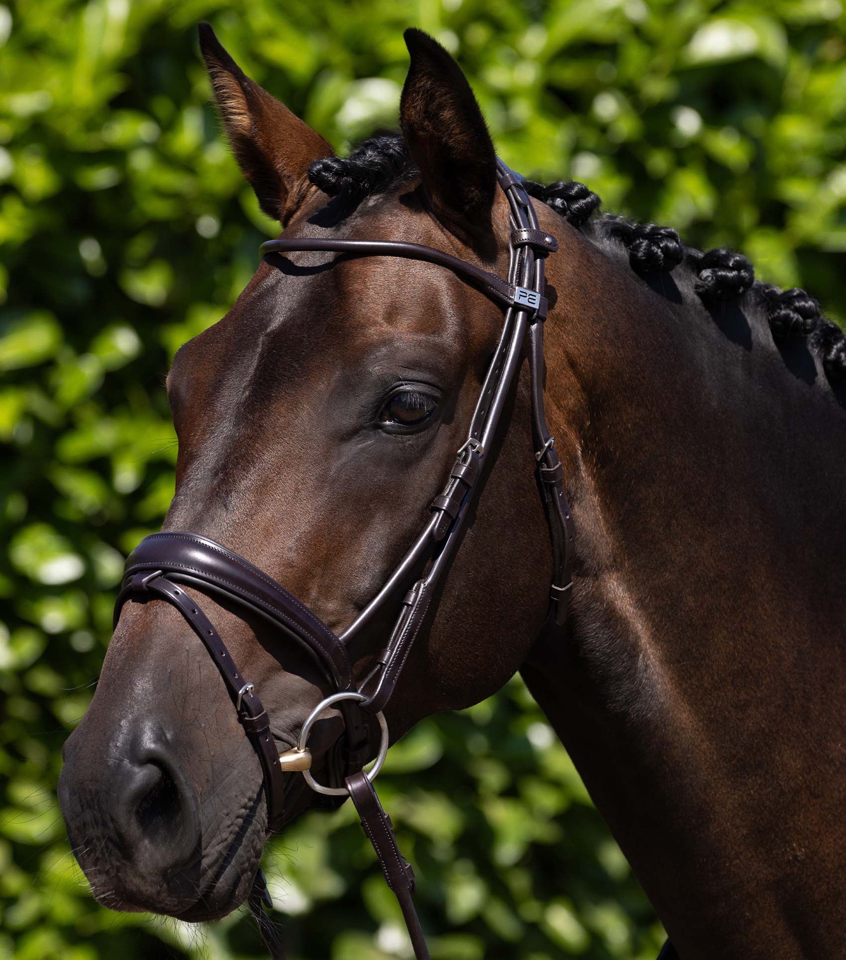 Hunter Inhand Bridle - Fylde Saddlery