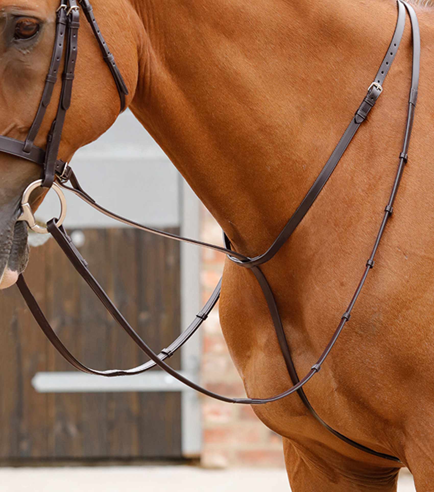 Shires Blenheim Running Martingale (4192) - UK - View #6