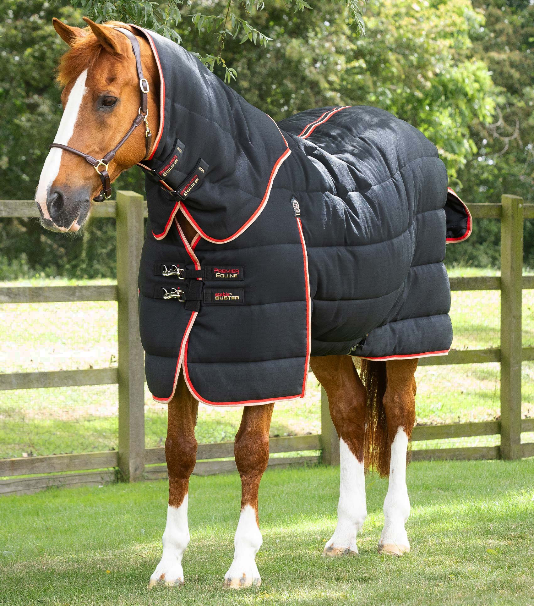Stable Buster 200g Stable Rug with Neck Cover Premier Equine Int. Ltd.