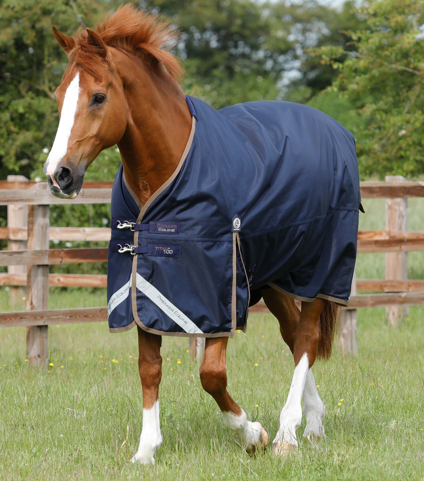 Buy Masta Avante Light Turnout Rug in Cheap Price on