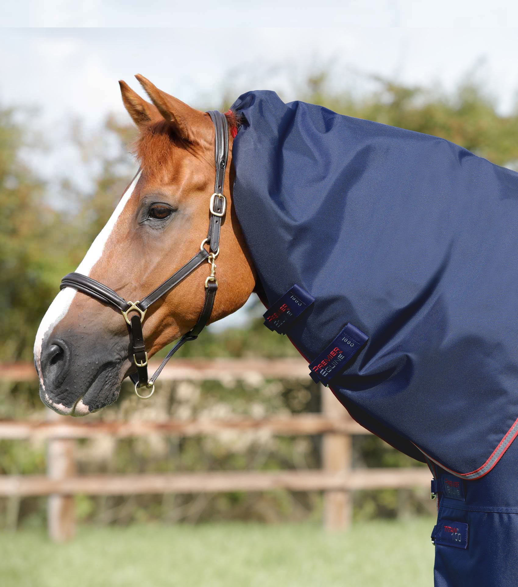 Tapis de dressage pour cheval Premier Equine Armada CC - black - Full