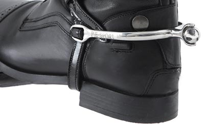An image thumbnail accompanying the content below.