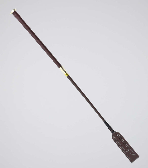 Volterra Jumping Whip