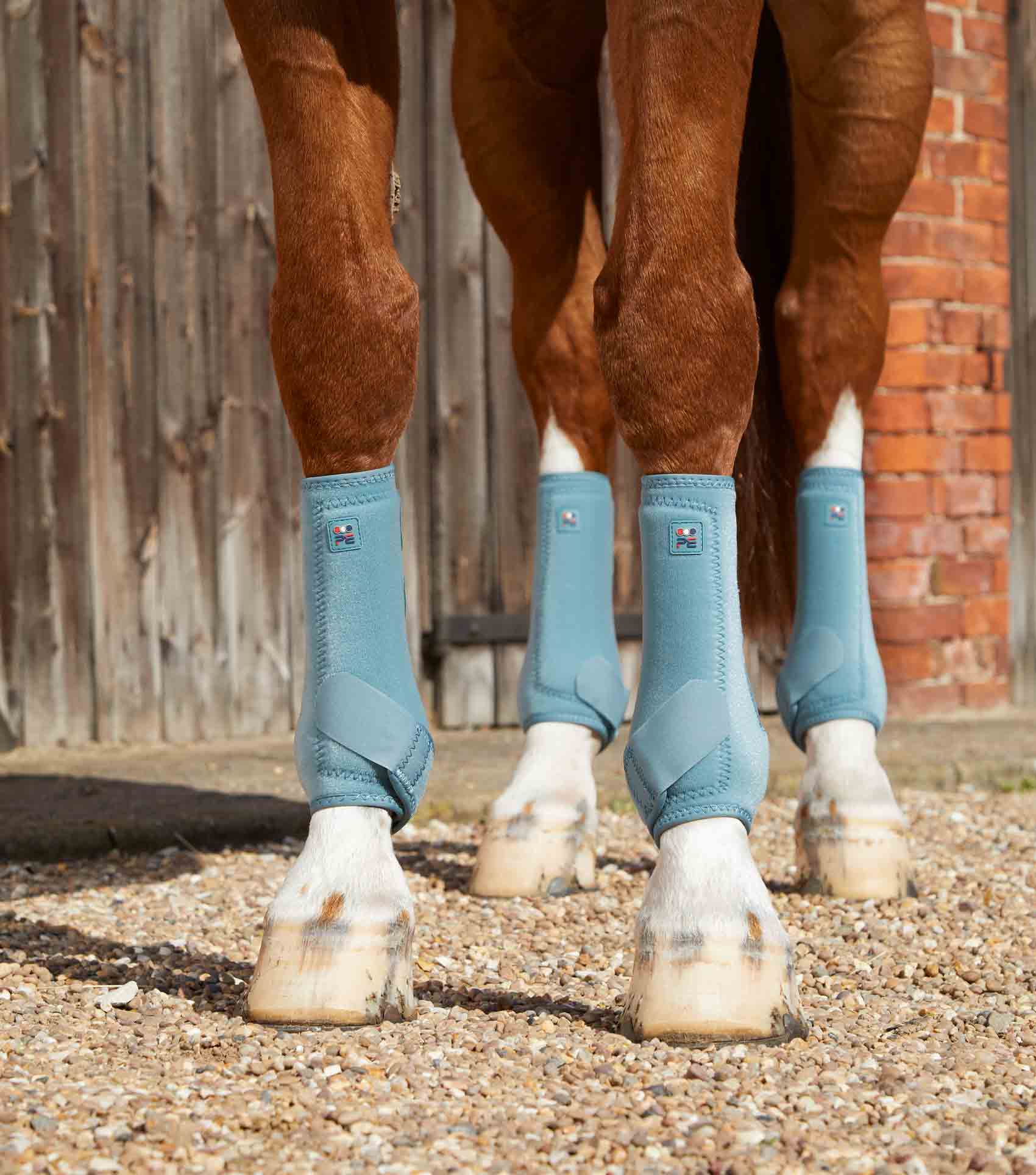 Bottes de cheval d'occasion - Sport & Plein air Bottes de cheval d'occasion - Sport & Plein air
