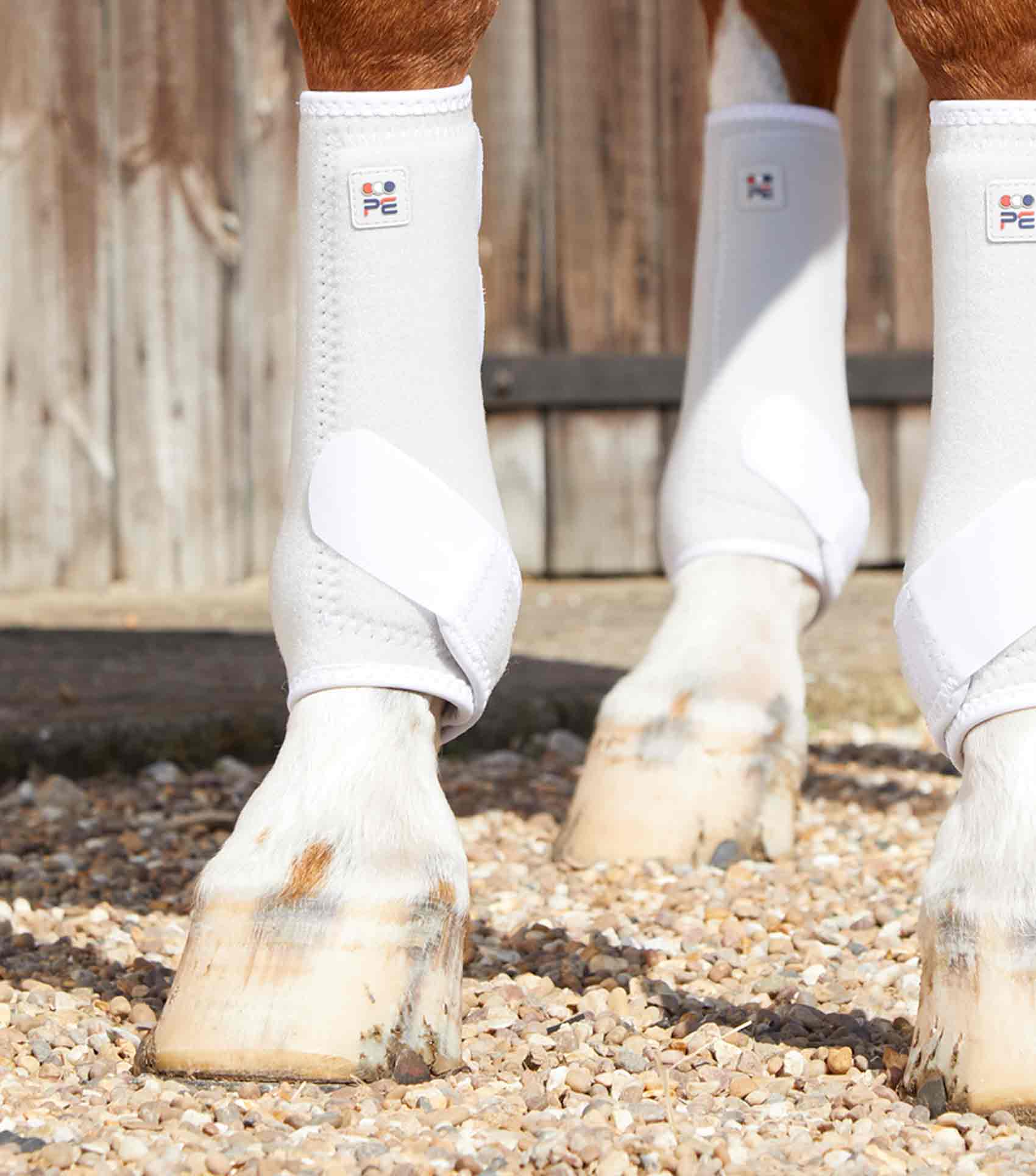 Professional equine boots clearance