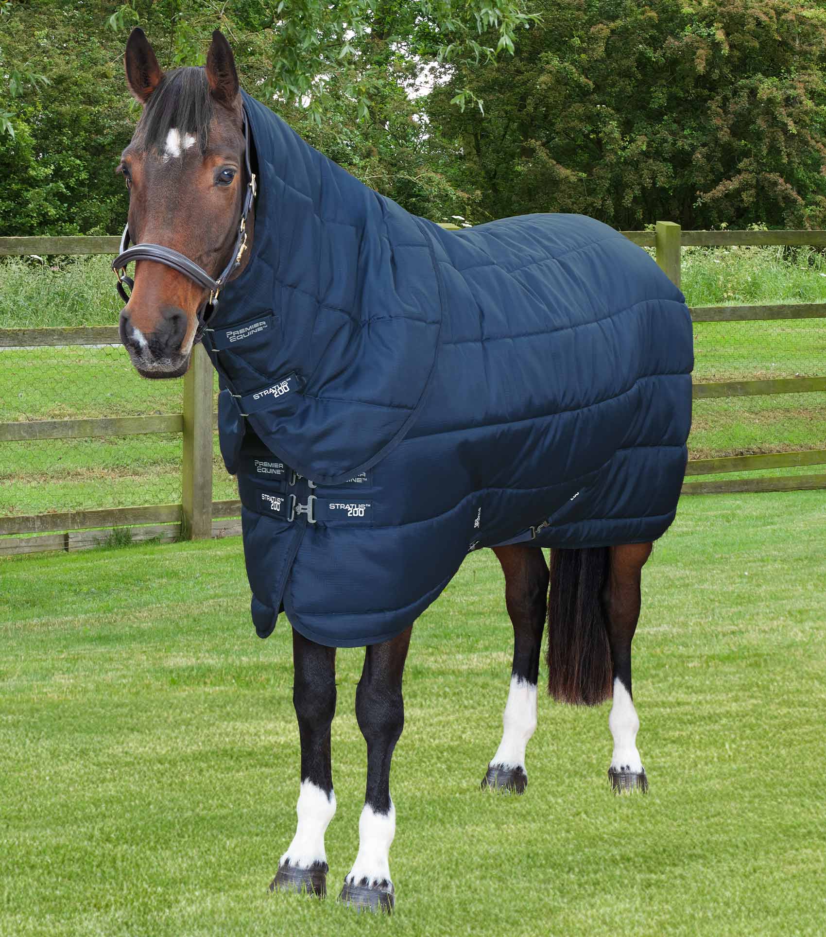 Stratus Stable Rug 200g with Neck Cover Navy - Main Image