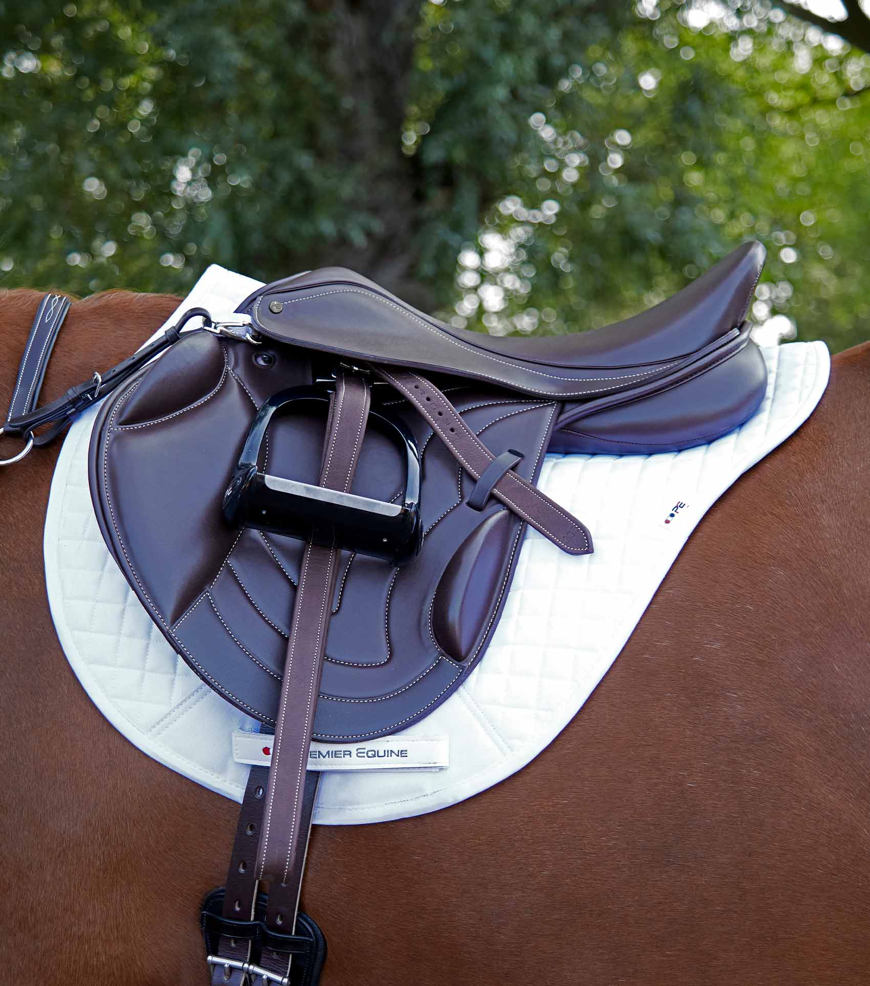 Equine saddle shop