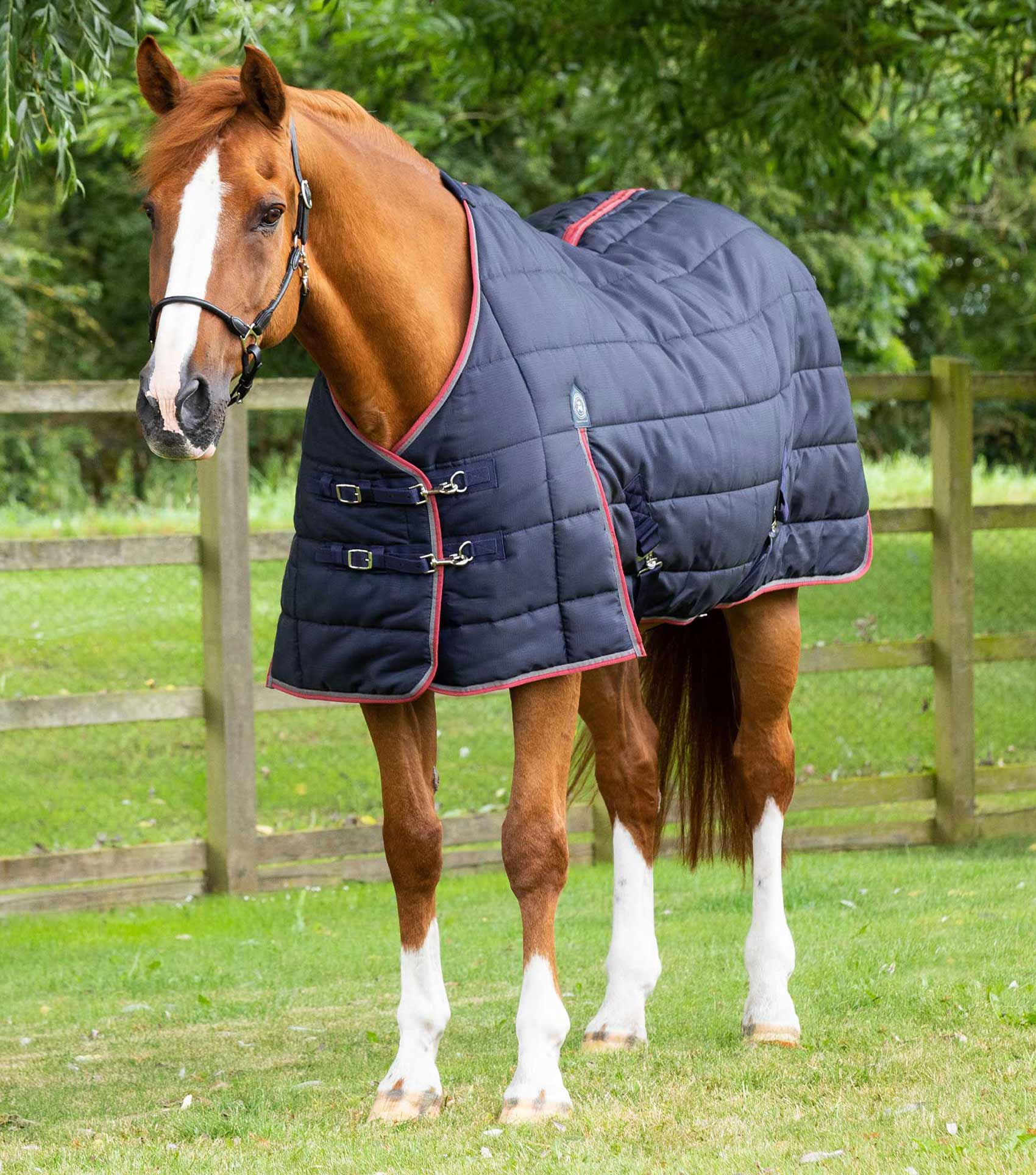 Horse rugs for sale deals