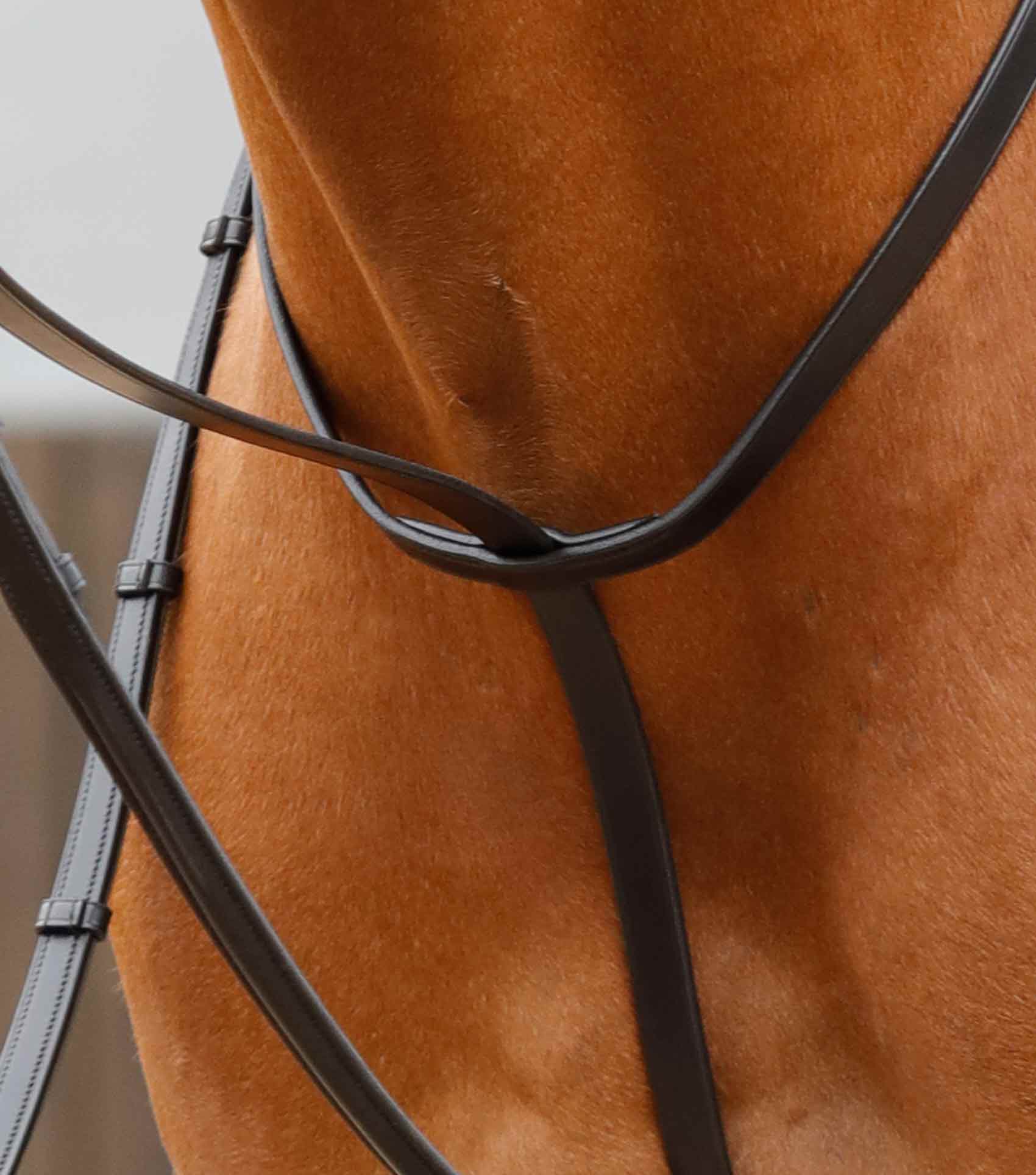 Martingale pour cheval Premier Equine Baressa PREMIER EQUINE