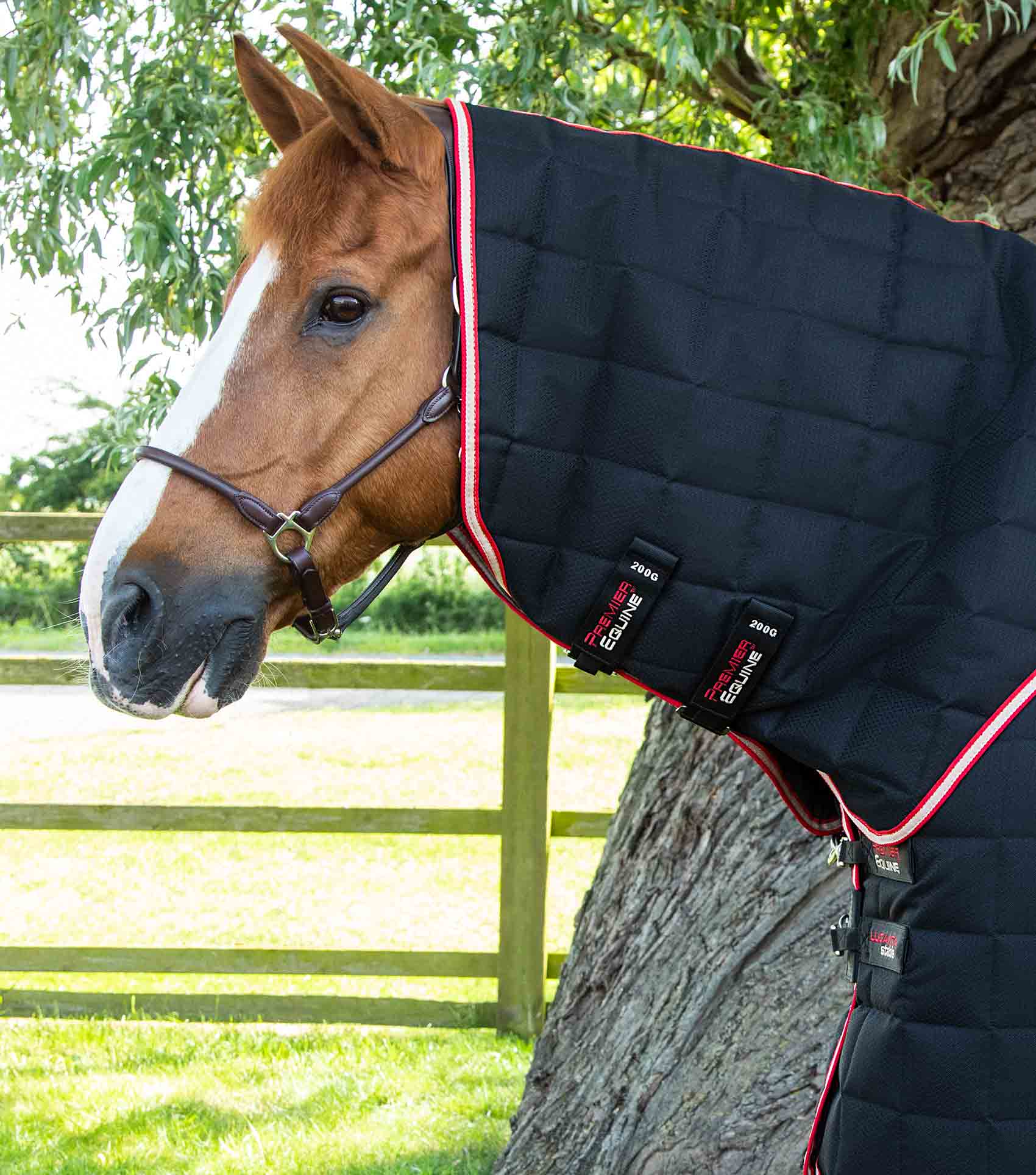 Couverture d'écurie pour cheval Premier Equine Lucanta 200 g - black - 191 cm - Sport