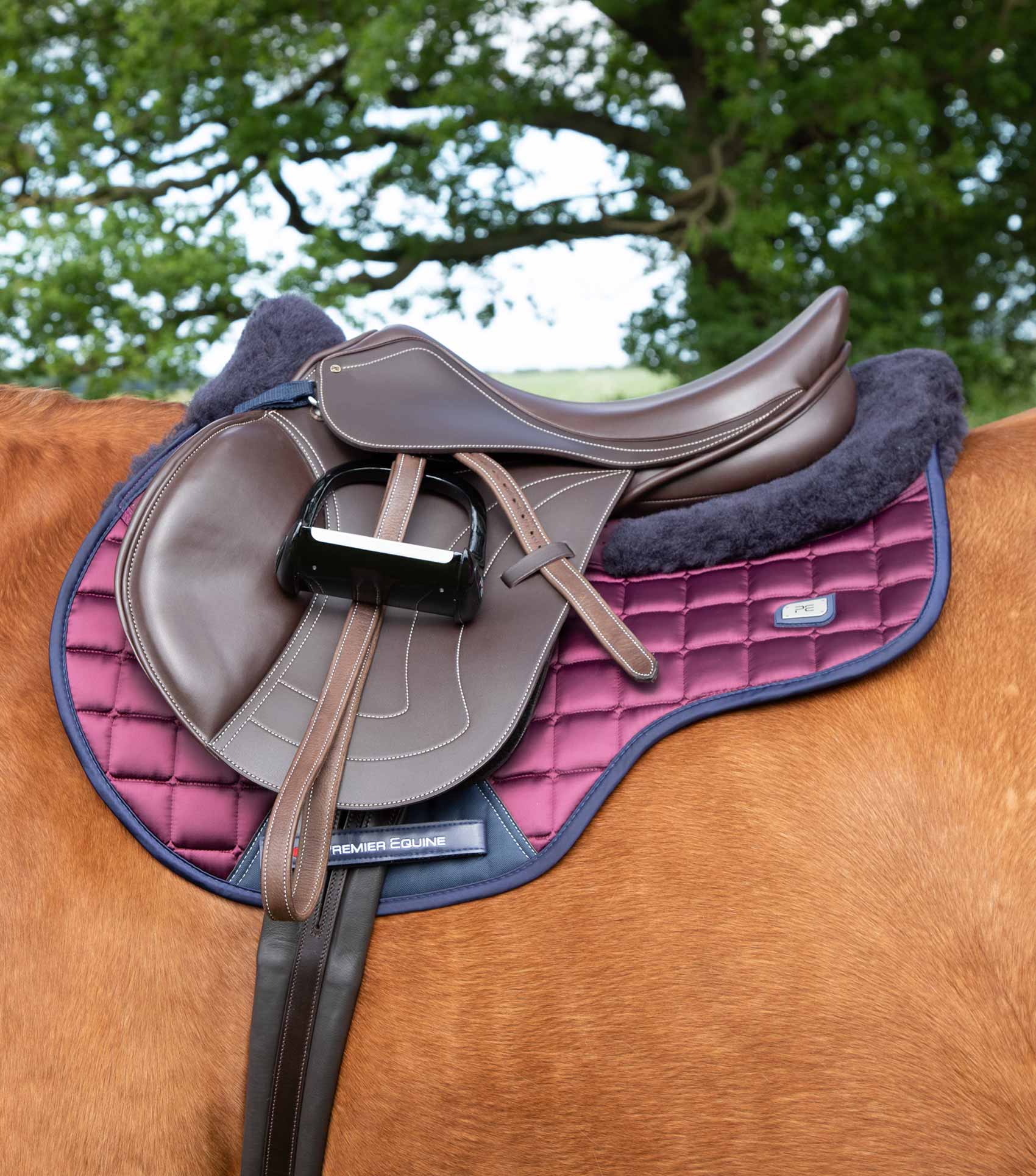Equine saddle shop