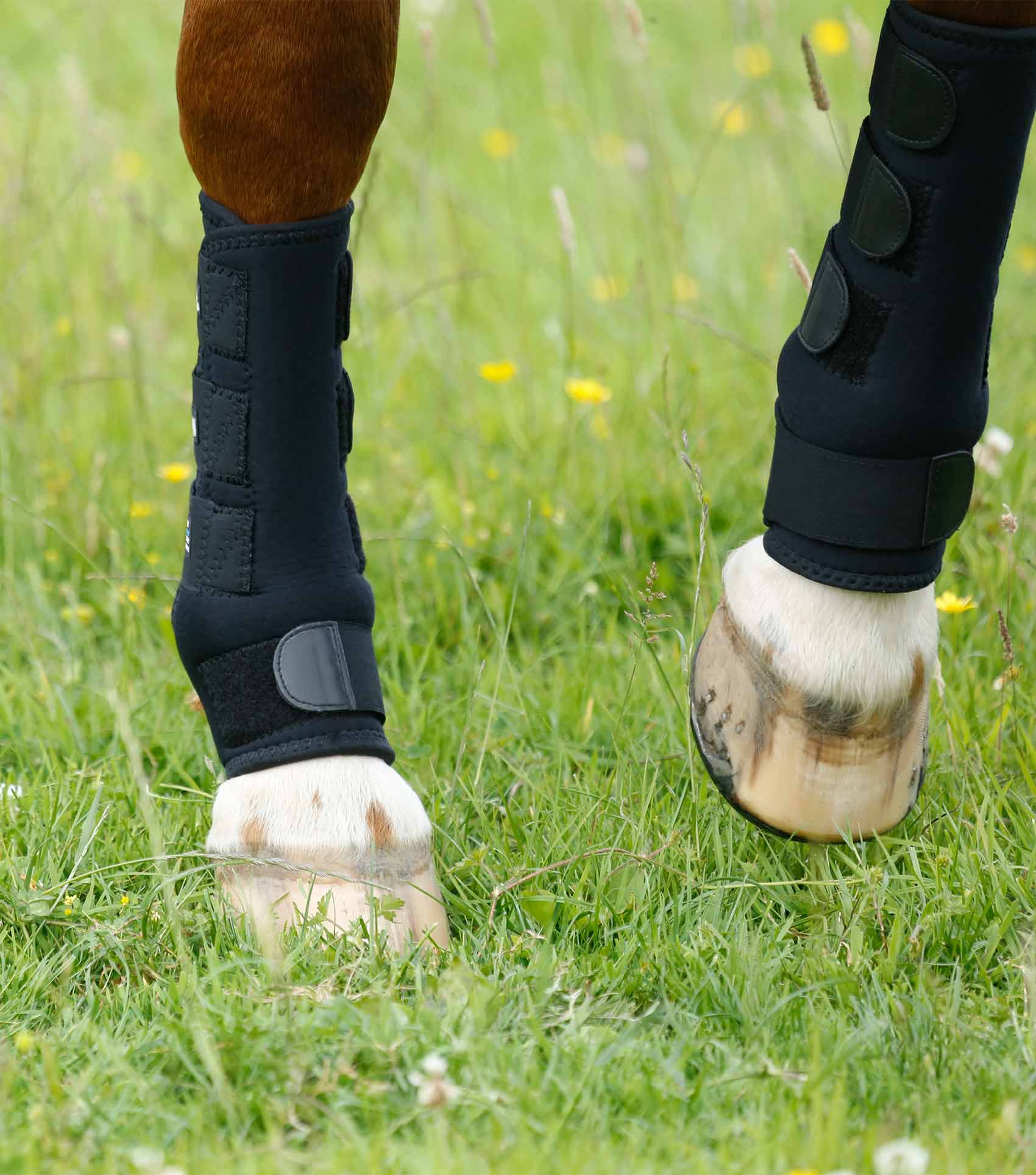 Turnout Boots – Premier Equine Int. Ltd.