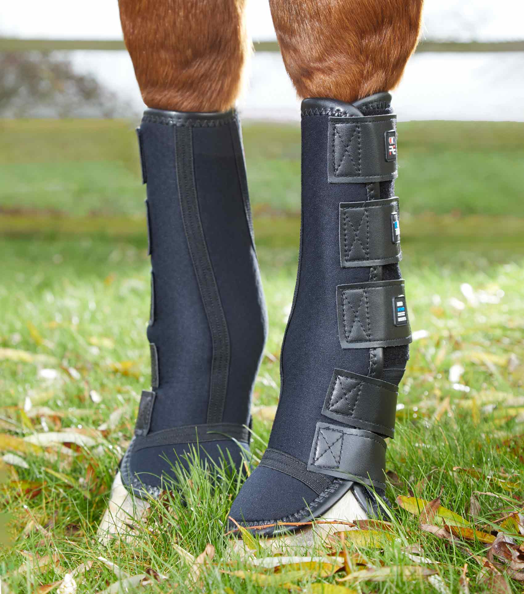 Turnout/Mud Fever Boots – Premier Equine Int. Ltd.