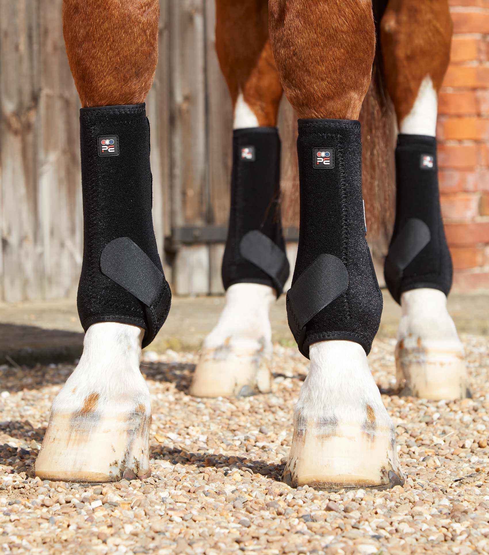 Bottes d'équitation femme Premier Equine Kelburn PREMIER EQUINE | Decathlon Bottes d'équitation femme Premier Equine Kelburn PREMIER EQUINE | Decathlon