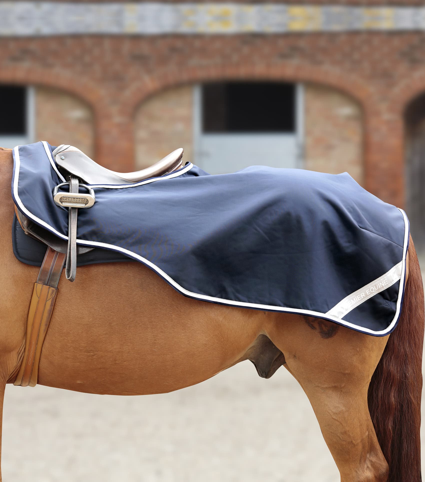 Horse exercise sheet deals