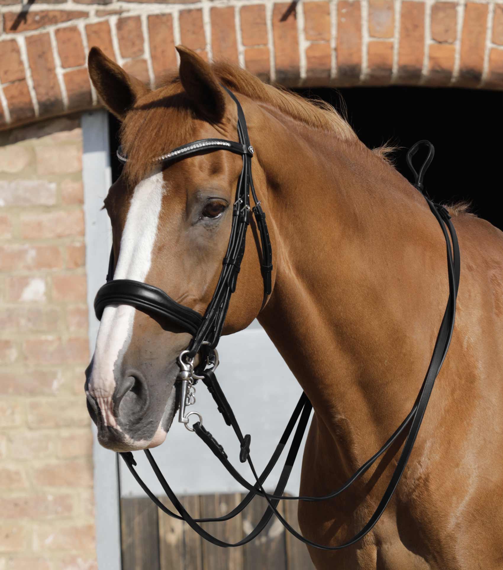 Luigi Plain Leather Reins Black