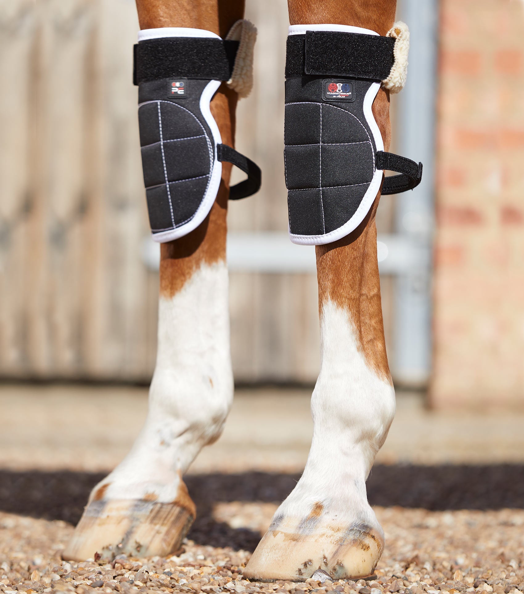 End orange Kurve Bi-Polar Magnet Horse Knee Boots – Premier Equine Int. Ltd.