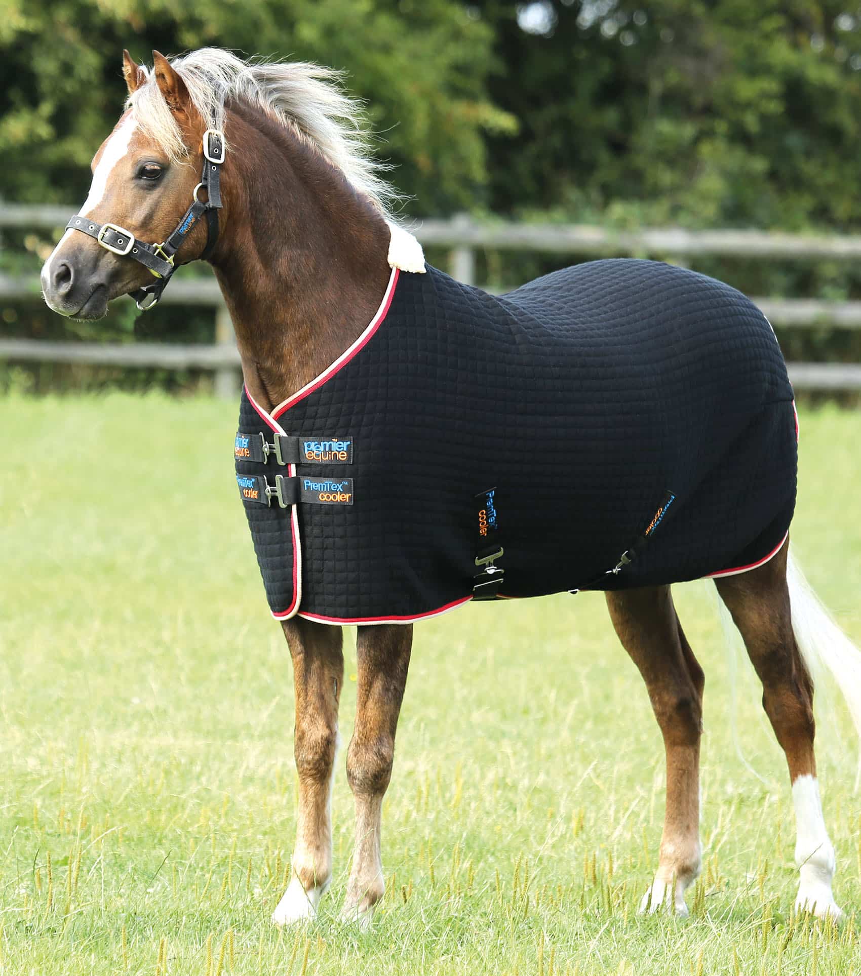 Pony PremTex Cooler Rug Premier Equine Int. Ltd.