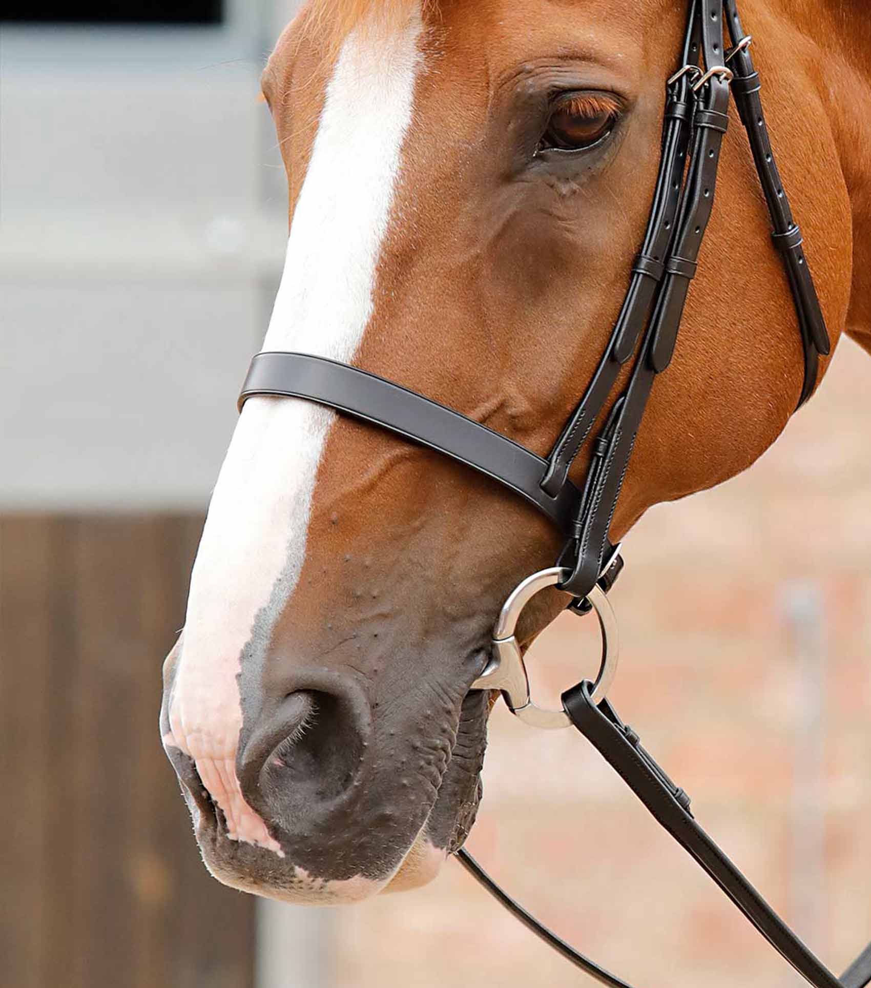 Windsor Equestrian Bridle With Plain Cavesson NosebandブラックPony - 3