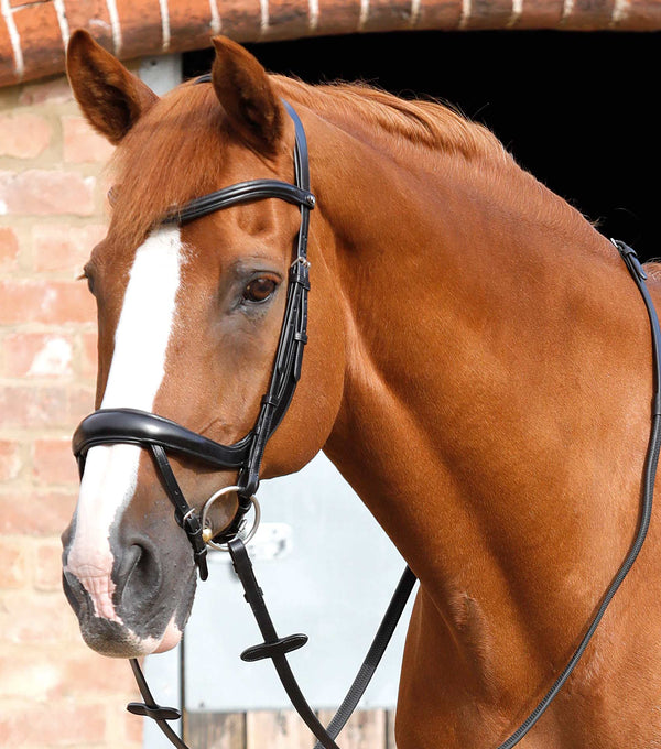 Savuto Anatomic Bridle with Crank Noseband & Flash