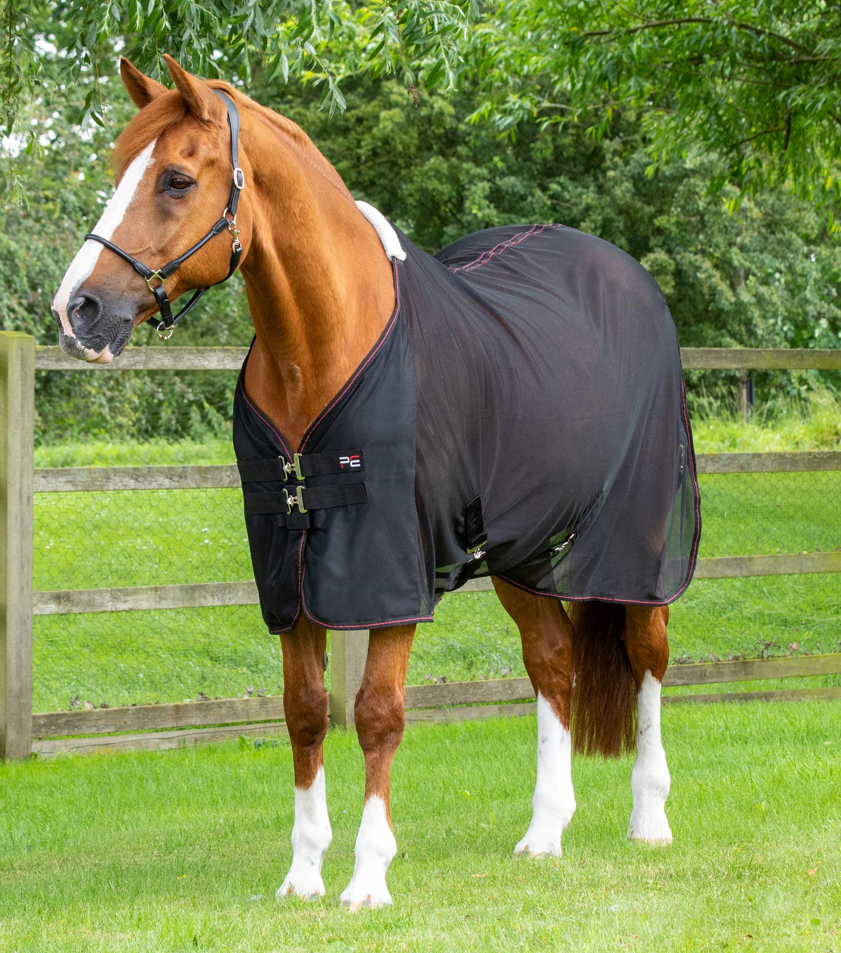 Ventoso Mesh Horse Cooler Rug Black