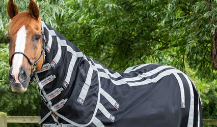 Magnetic vs Infrared Therapy Rugs for Horses: What’s the Difference?