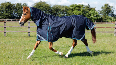 How to Choose the Right Turnout Rug for Your Horse