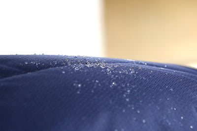 How Waterproof Is a Horse Turnout Rug? 10,000mm Explained