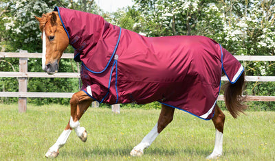 Rugging For Unpredictable Weather!