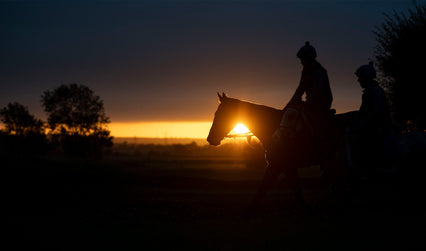 A Morning in the Racing Yard: Where Performance Begins