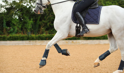 Equestrian Training: Are you ready?
