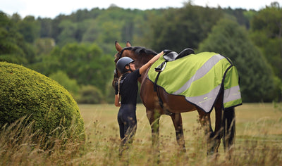 Reflective Horse Riding Equipment: How to Stay Visible on Every Ride