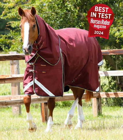 Best Turnout Rugs for Horses Living Out | Premier Equine