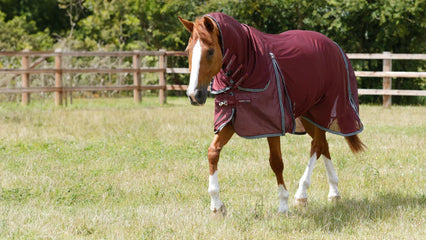 Best Fly Rugs for Summer Turnout from Premier Equine