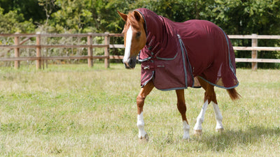 Best Fly Rugs for Summer Turnout: How to Choose the Right Protection for Your Horse