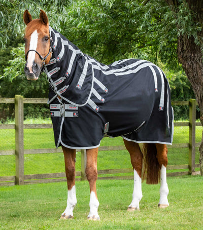Horse wearing the Premier Equine Magni-Teque Magnetic Horse Rug with Neck Cover