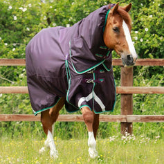 Horse Rugs | Premier Equine Int. Ltd.