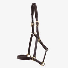 Leather Headcollars | Premier Equine Int. Ltd.