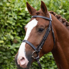 Racing Bridles