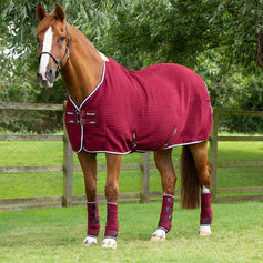 Horse & Pony Coolers & Sheets | Premier Equine Int. Ltd.